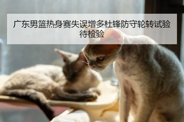 广东男篮热身赛失误增多杜锋防守轮转试验待检验
